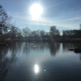 Mount Pond in Clapham Common